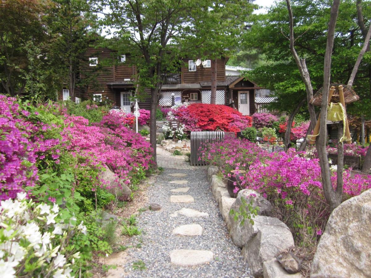 Mayfair Deneb Pension Pyeongchang Dış mekan fotoğraf