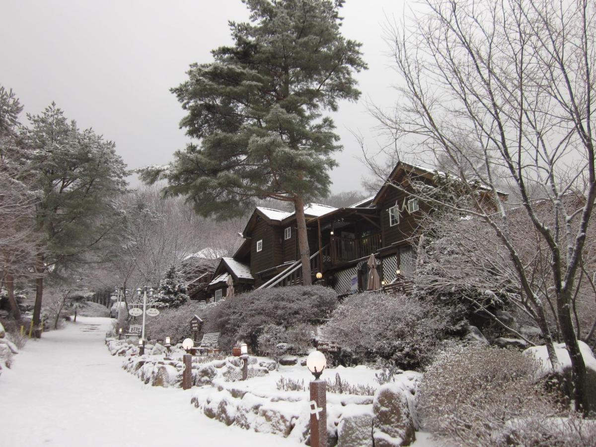 Mayfair Deneb Pension Pyeongchang Dış mekan fotoğraf